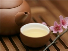 养心禅茶